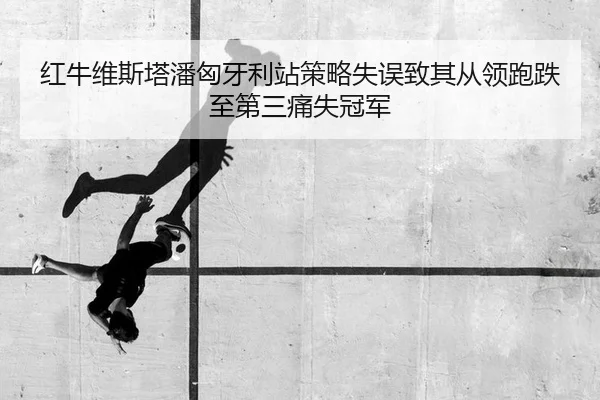 红牛维斯塔潘匈牙利站策略失误致其从领跑跌至第三痛失冠军 - yaxin
