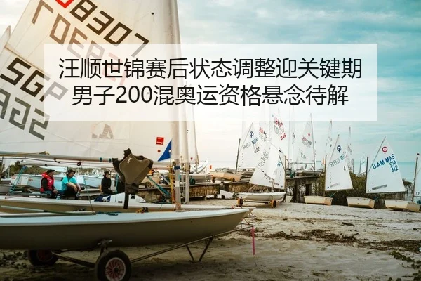 汪顺世锦赛后状态调整迎关键期 男子200混奥运资格悬念待解（yaxin）